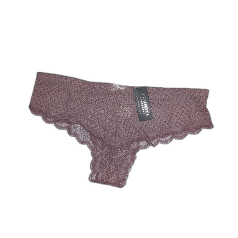 Youmita XL Lace and Mesh Bikini Panty NWT